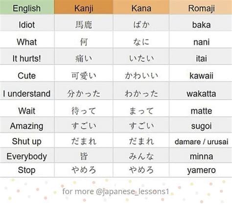 Glossary of Japanese Erotic Slang & Words